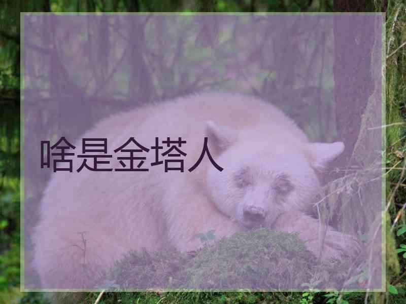 啥是金塔人