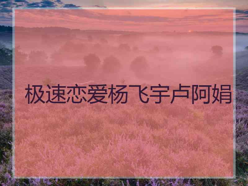 极速恋爱杨飞宇卢阿娟