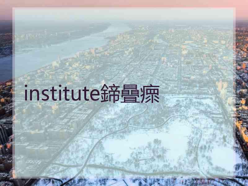 institute鍗曡瘝