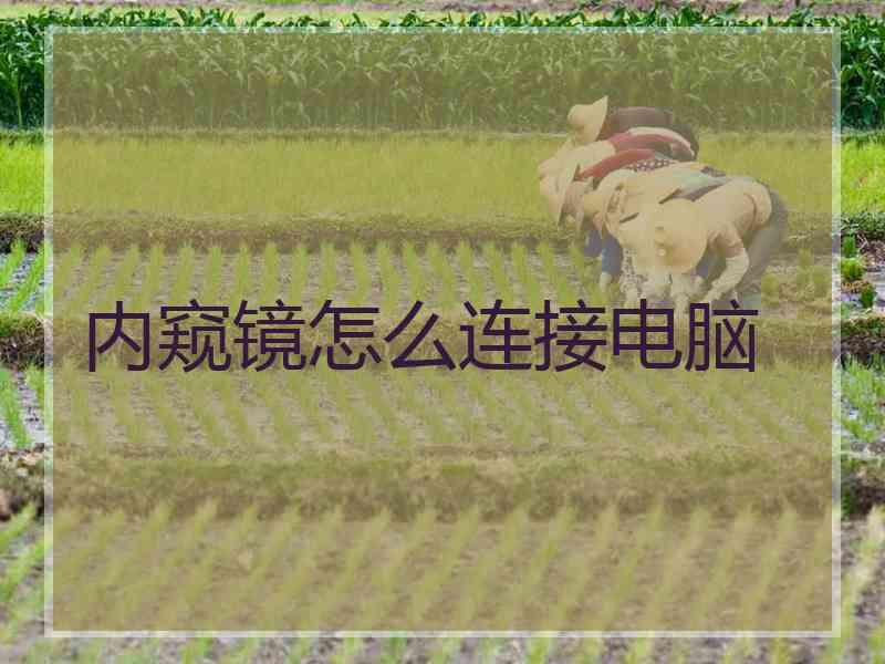 内窥镜怎么连接电脑