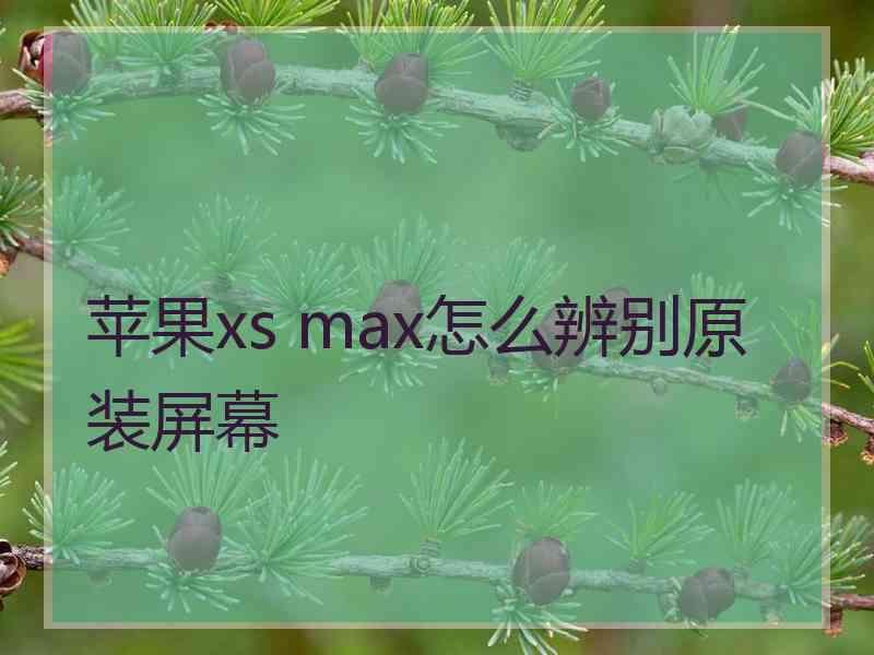 苹果xs max怎么辨别原装屏幕