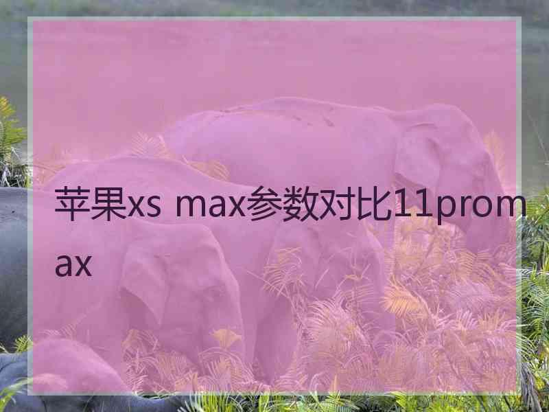 苹果xs max参数对比11promax