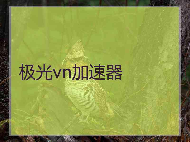 极光vn加速器