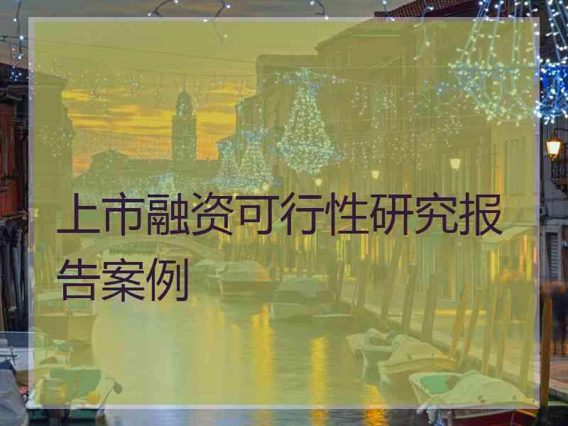 上市融资可行性研究报告案例