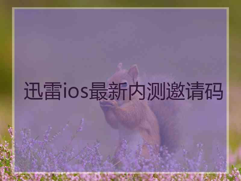 迅雷ios最新内测邀请码