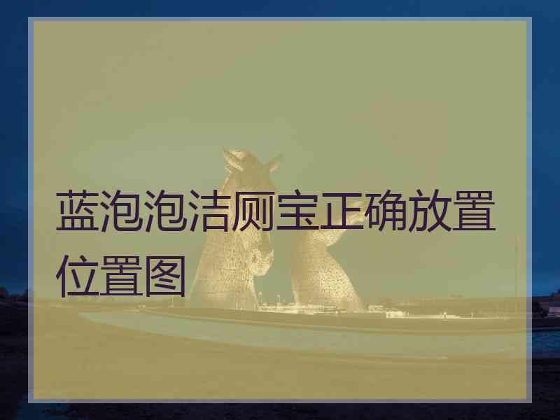 蓝泡泡洁厕宝正确放置位置图