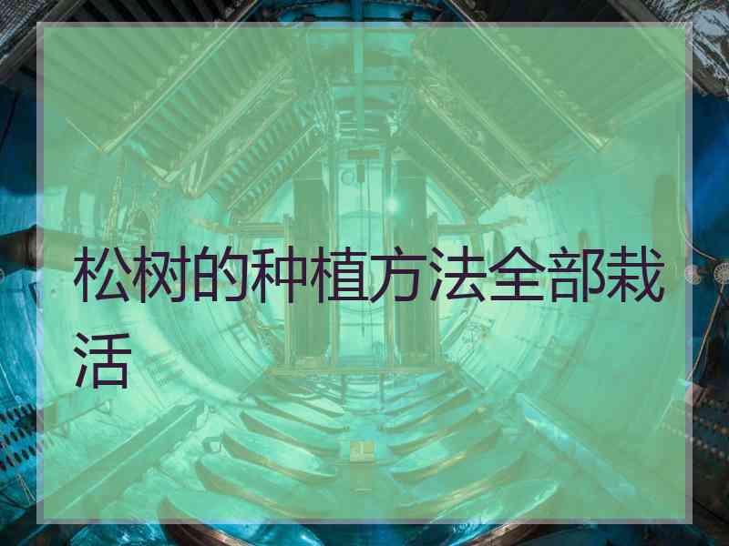 松树的种植方法全部栽活