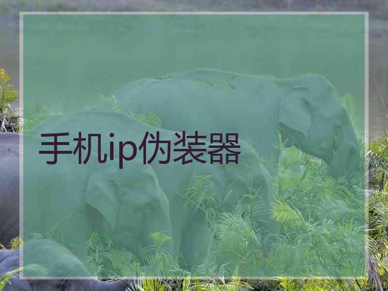 手机ip伪装器