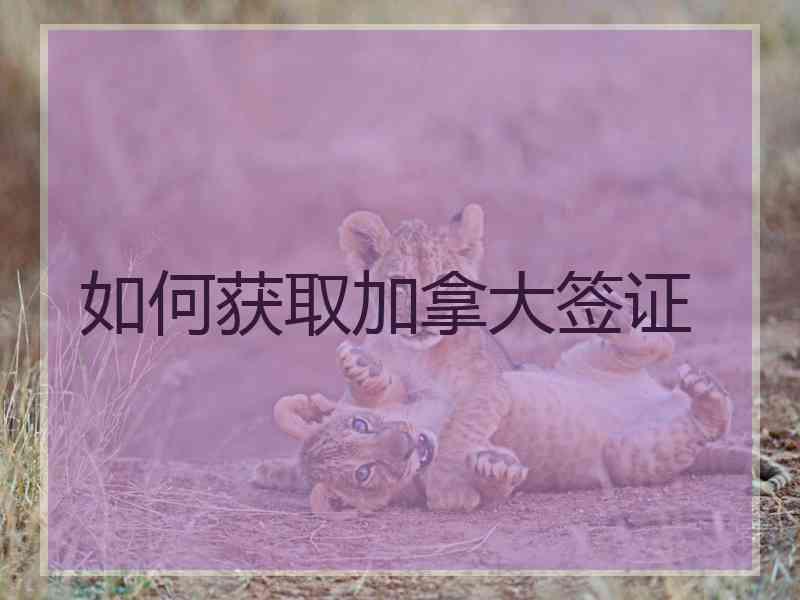 如何获取加拿大签证
