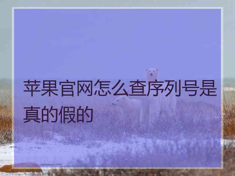 苹果官网怎么查序列号是真的假的