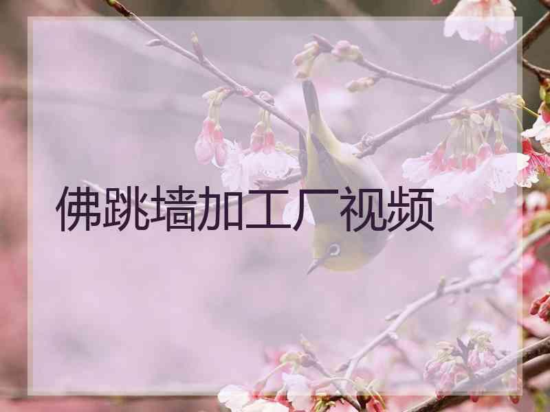 佛跳墙加工厂视频