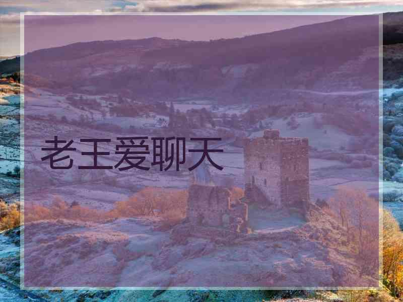 老王爱聊天