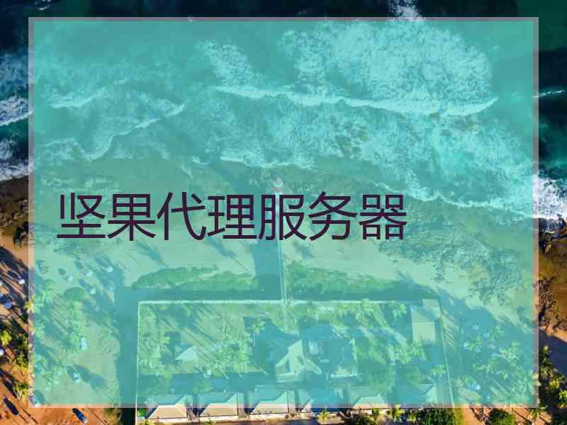 坚果代理服务器