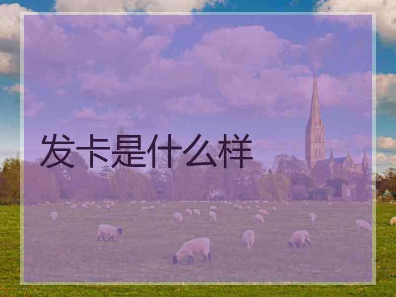 发卡是什么样