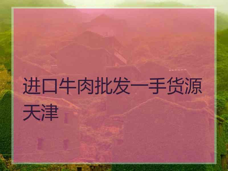 进口牛肉批发一手货源 天津