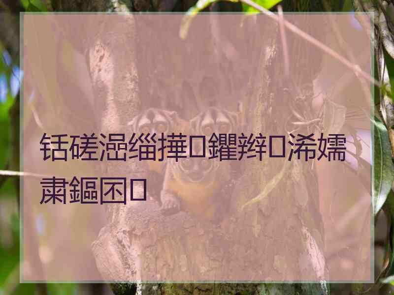 铦磋澏缁撶鑺辫浠嬬粛鏂囨