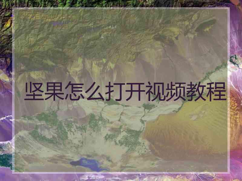 坚果怎么打开视频教程