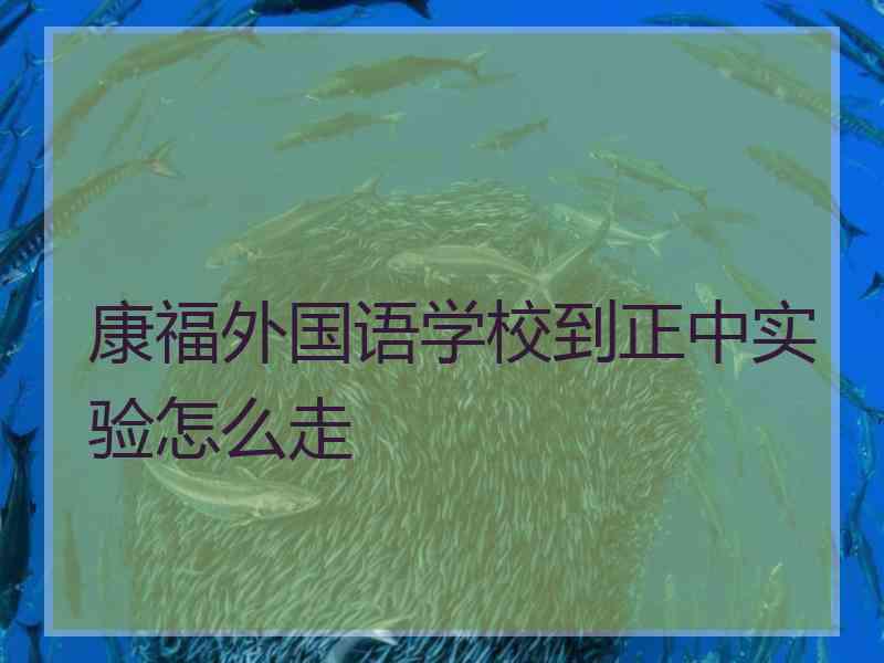 康福外国语学校到正中实验怎么走
