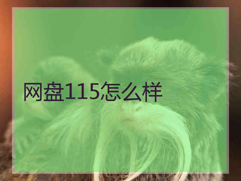 网盘115怎么样