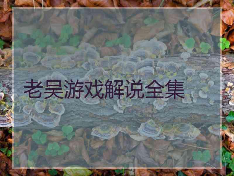 老吴游戏解说全集