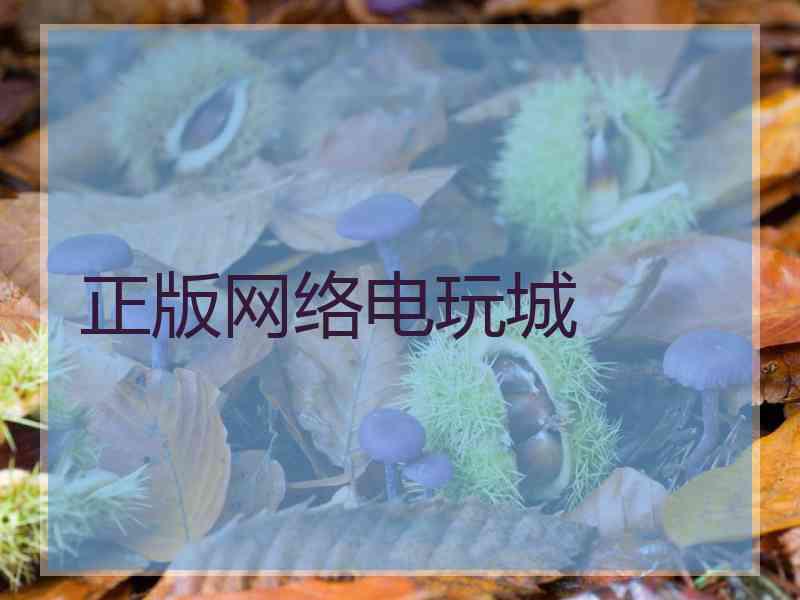 正版网络电玩城