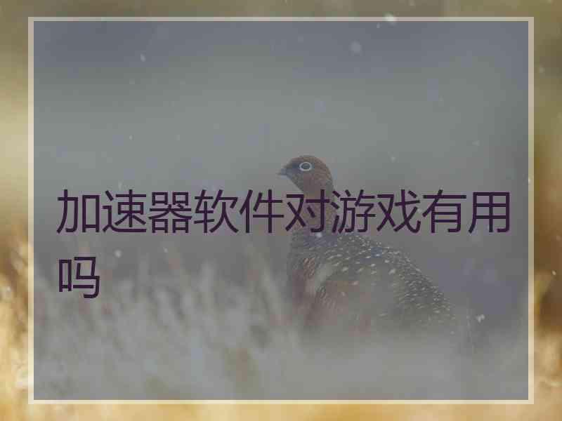 加速器软件对游戏有用吗