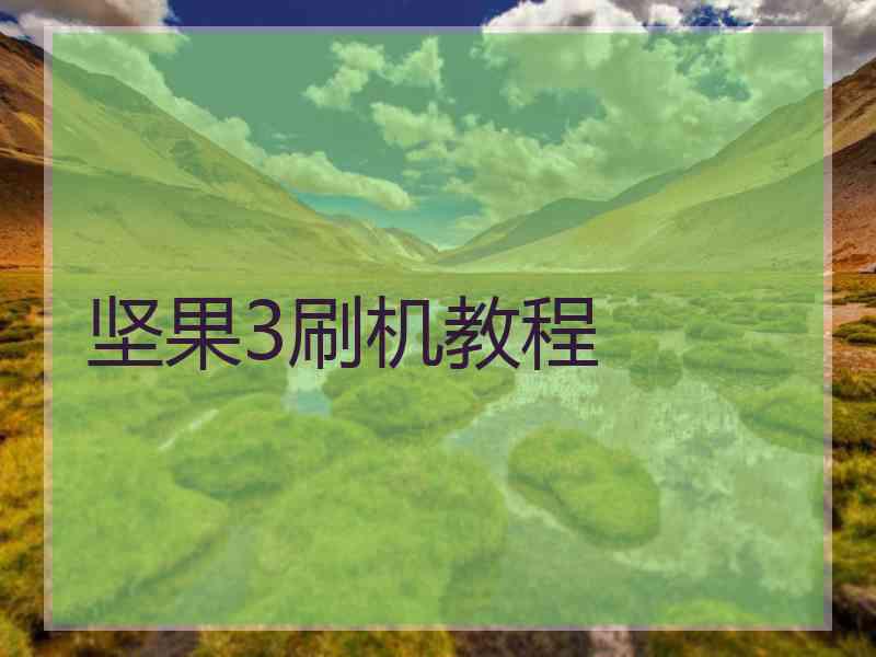 坚果3刷机教程
