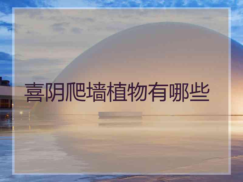 喜阴爬墙植物有哪些