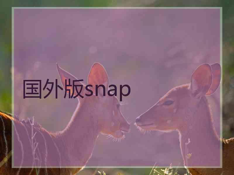 国外版snap