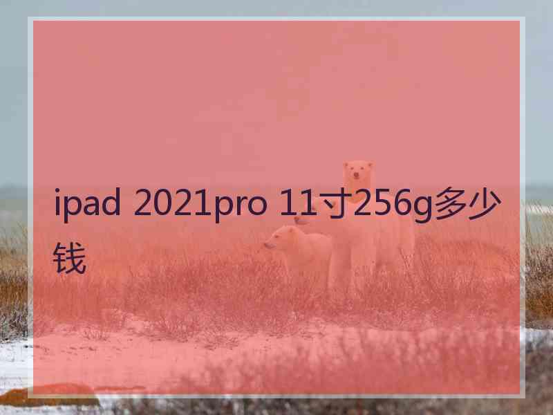 ipad 2021pro 11寸256g多少钱