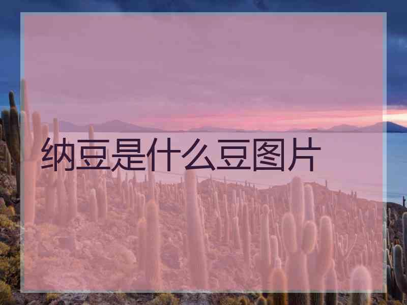 纳豆是什么豆图片