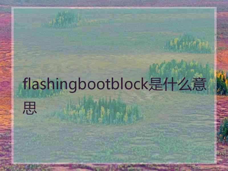 flashingbootblock是什么意思