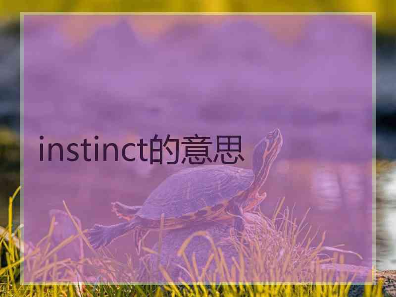 instinct的意思