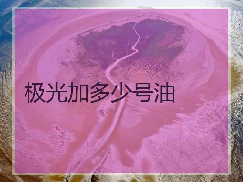 极光加多少号油