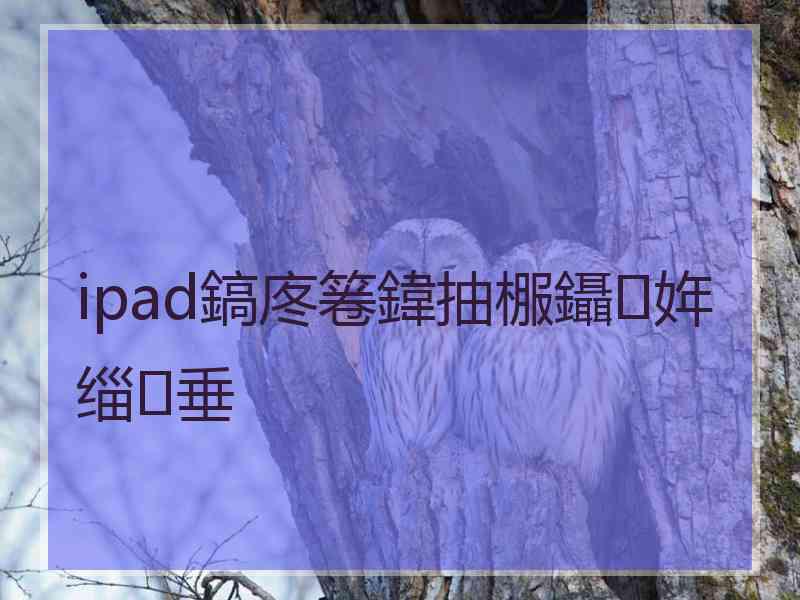 ipad鎬庝箞鍏抽棴鑷姩缁垂