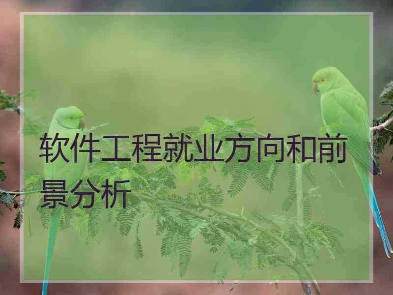 软件工程就业方向和前景分析