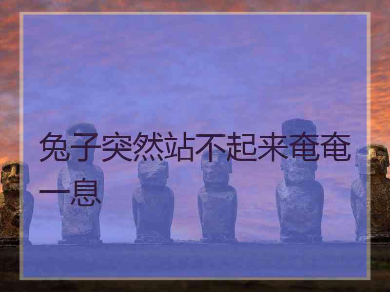 兔子突然站不起来奄奄一息