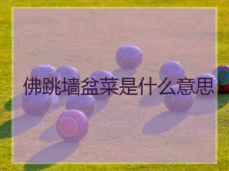 佛跳墙盆菜是什么意思