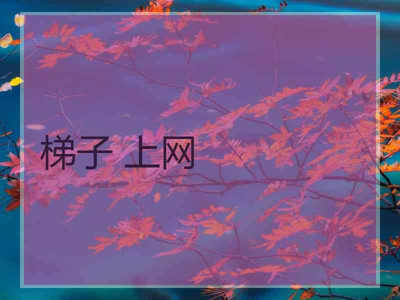 梯子 上网