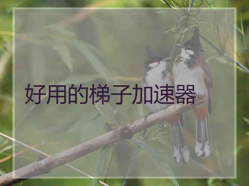 好用的梯子加速器