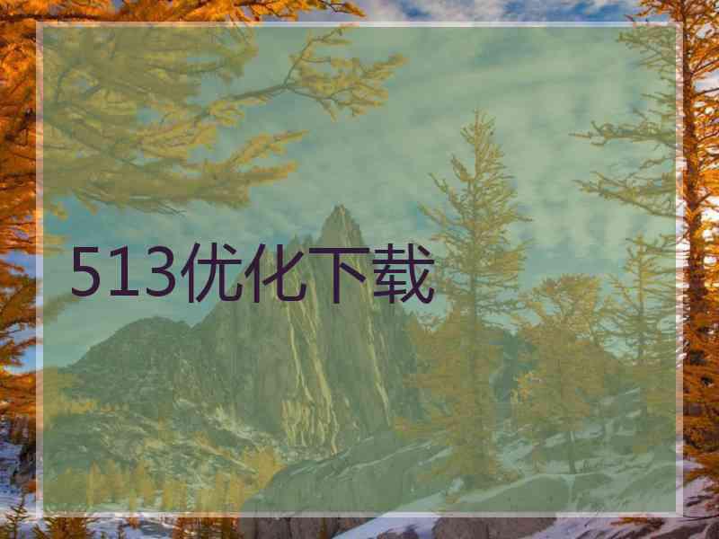 513优化下载