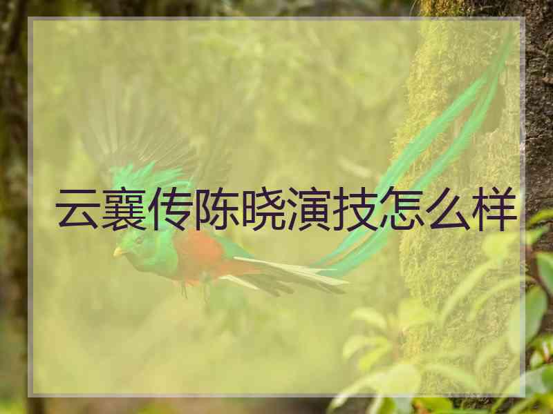 云襄传陈晓演技怎么样