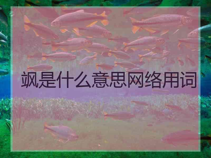 飒是什么意思网络用词
