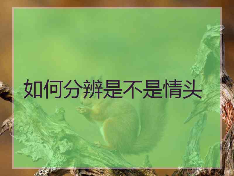 如何分辨是不是情头