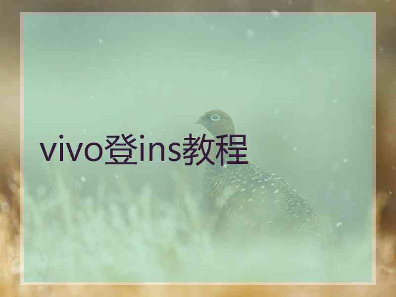 vivo登ins教程