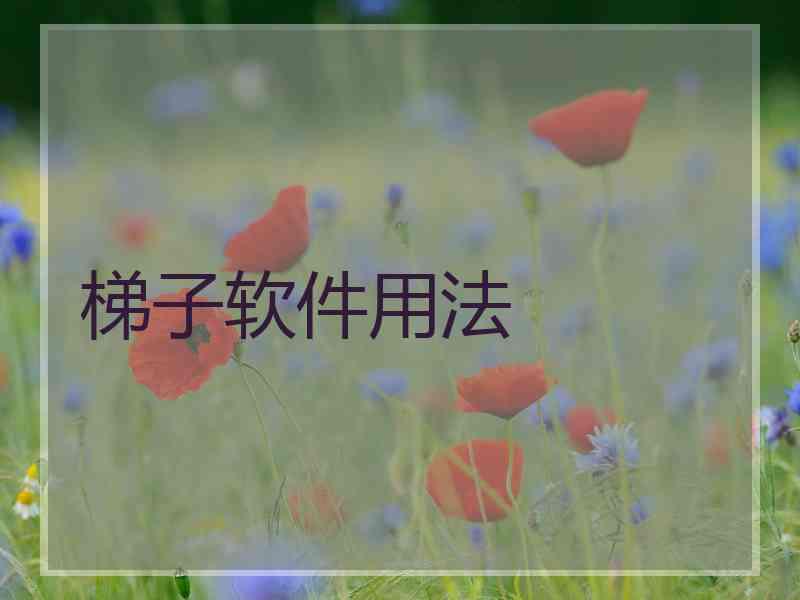 梯子软件用法
