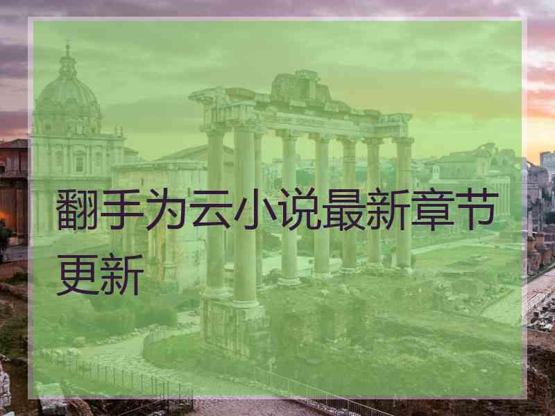 翻手为云小说最新章节更新
