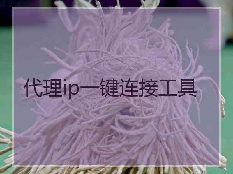 代理ip一键连接工具