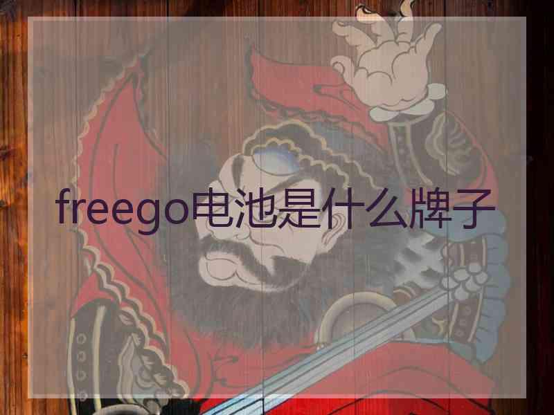 freego电池是什么牌子