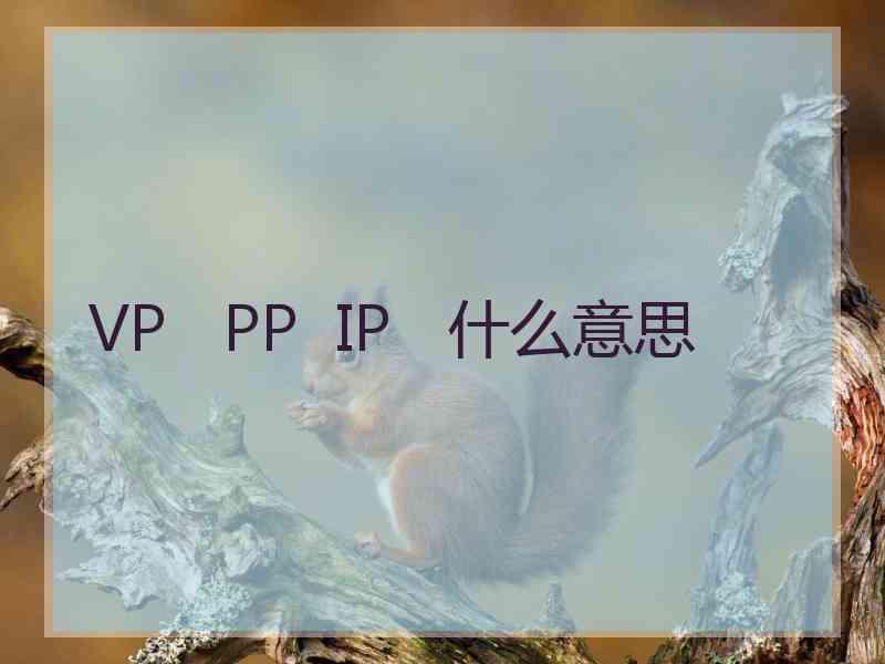 VP   PP  IP   什么意思